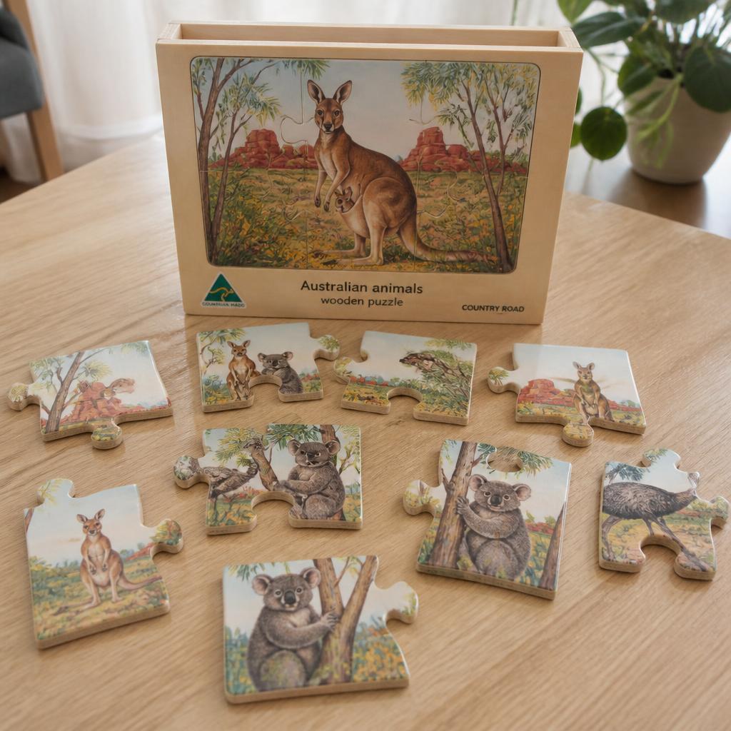 Wooden Shape Sorter Puzzle